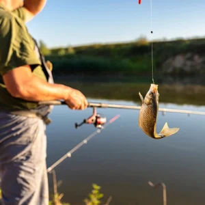 OHA_fishig rod